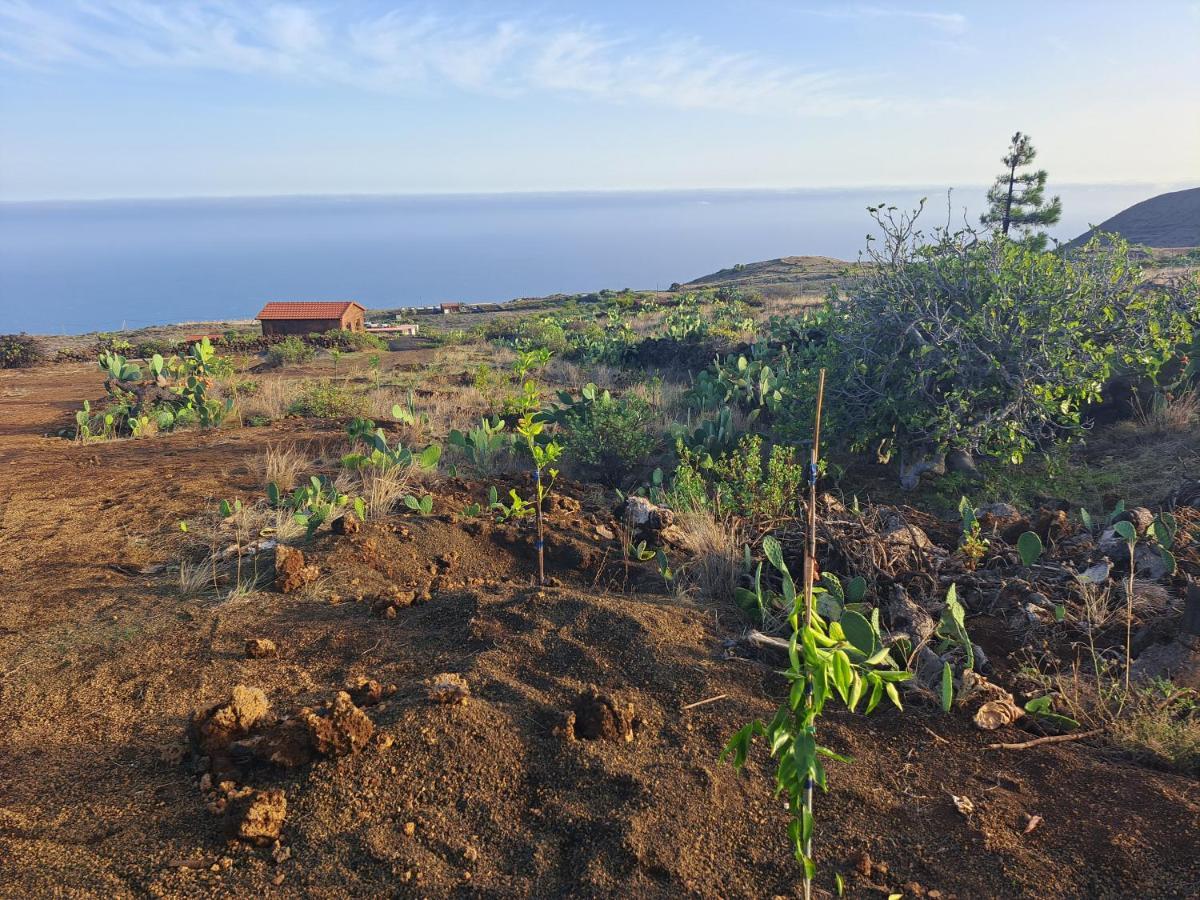 Las Casitas De Pao El Pinar  Екстериор снимка