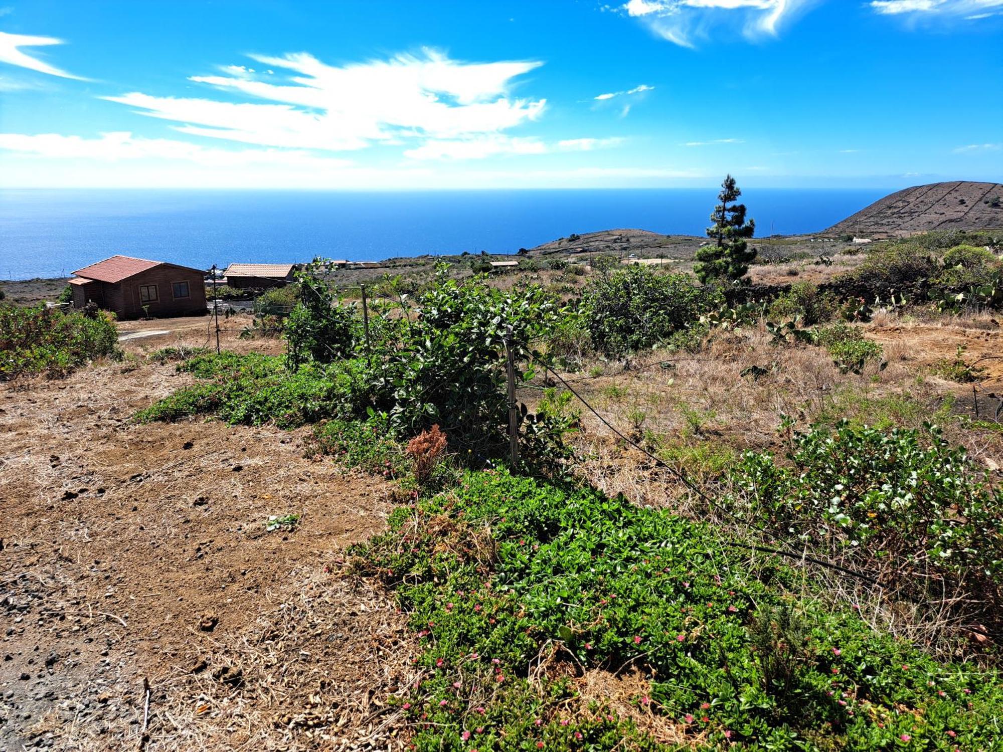 Las Casitas De Pao El Pinar  Стая снимка